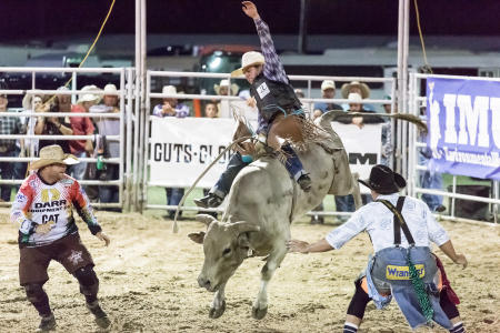 Washington County Fair and Rodeo.  Client: Brenham Chamber of Commerce.