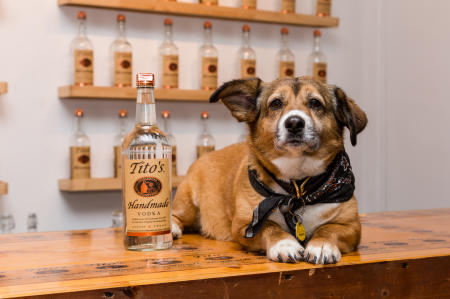 Tito's Vodka for Dog People Campaign Photo